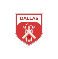 Dallas Lonestars flag