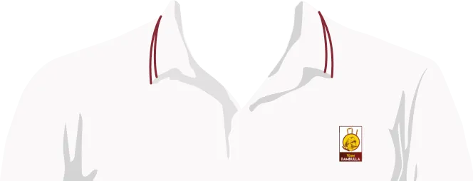 Nishan Madushka Jersy